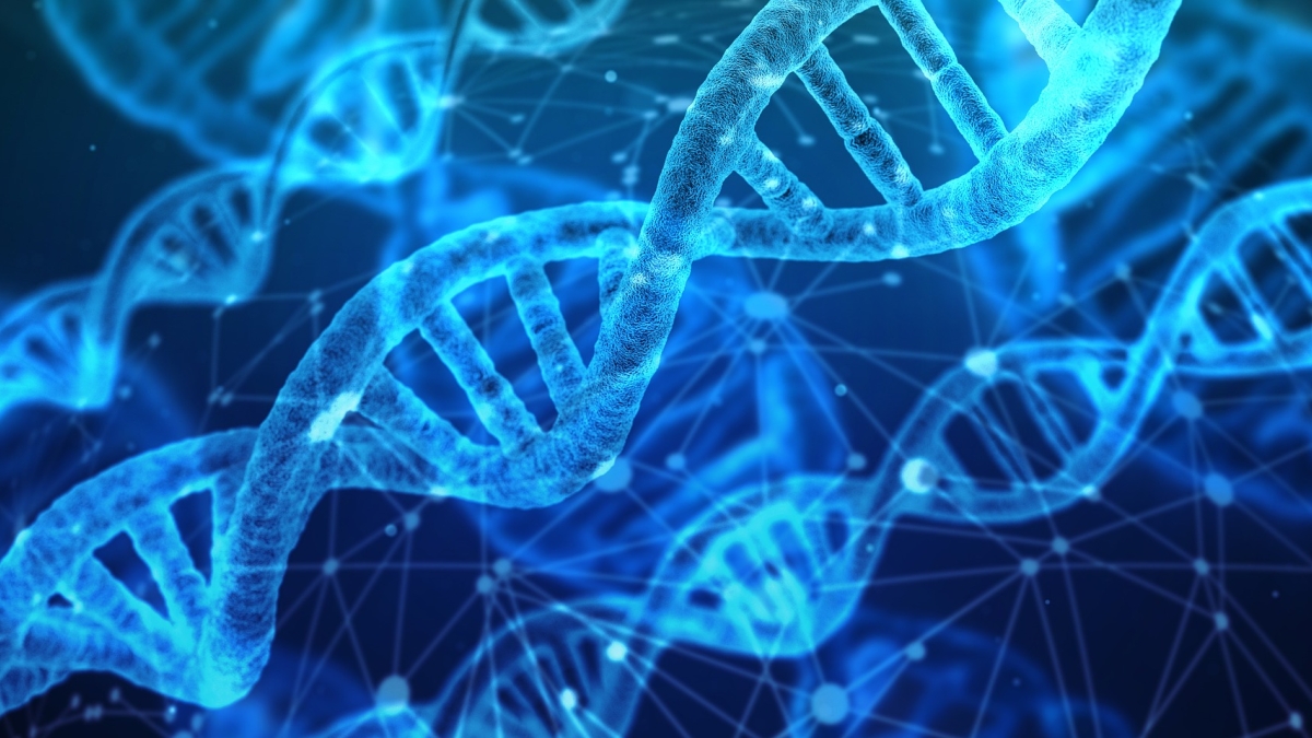 Regener8MD - precision longevity and regenerative medicine